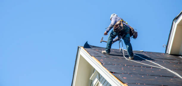 Best Roof Maintenance Services  in Banks Springs, LA